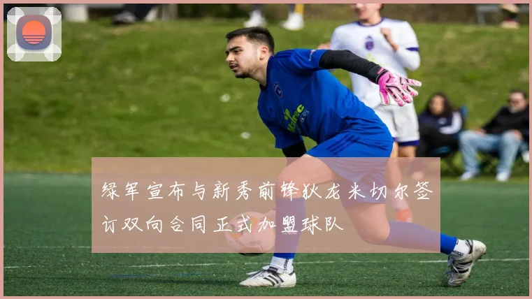 绿军宣布与新秀前锋狄龙米切尔签订双向合同正式加盟球队