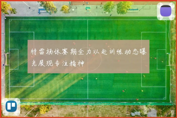 特雷杨休赛期全力以赴训练动态曝光展现专注精神