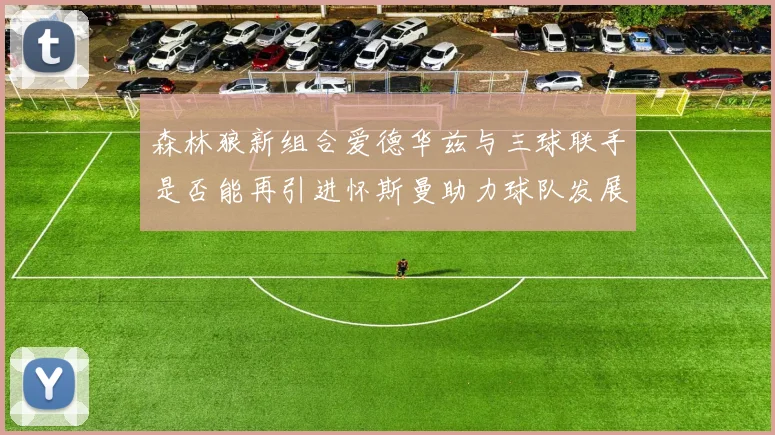 森林狼新组合爱德华兹与三球联手是否能再引进怀斯曼助力球队发展